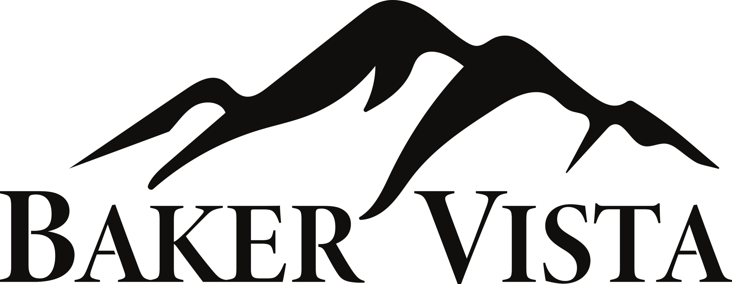 Baker Vista Logo